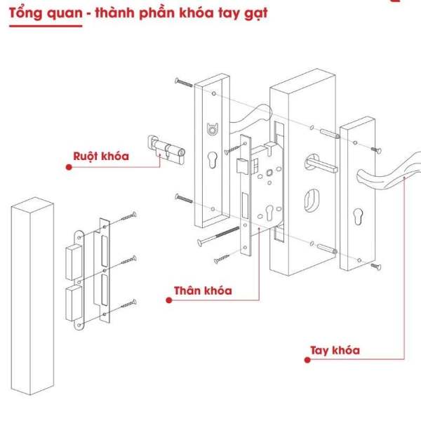 cấu tạo ổ khóa tay gạt