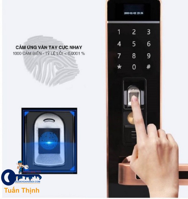giai đoạn thu thập vân tay